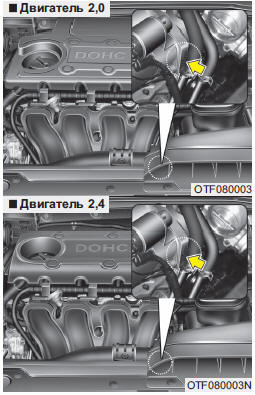 Серийный номер двигателя выбит на блоке цилиндров, как показано на рисунке.